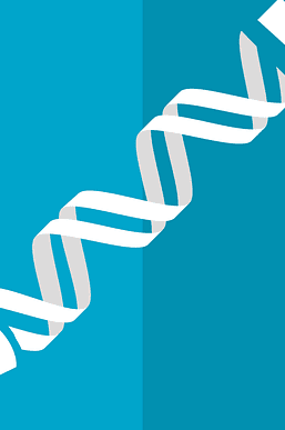 The Race is on Between Gene Editing and Gene Therapy for Duchenne Muscular Dystrophy